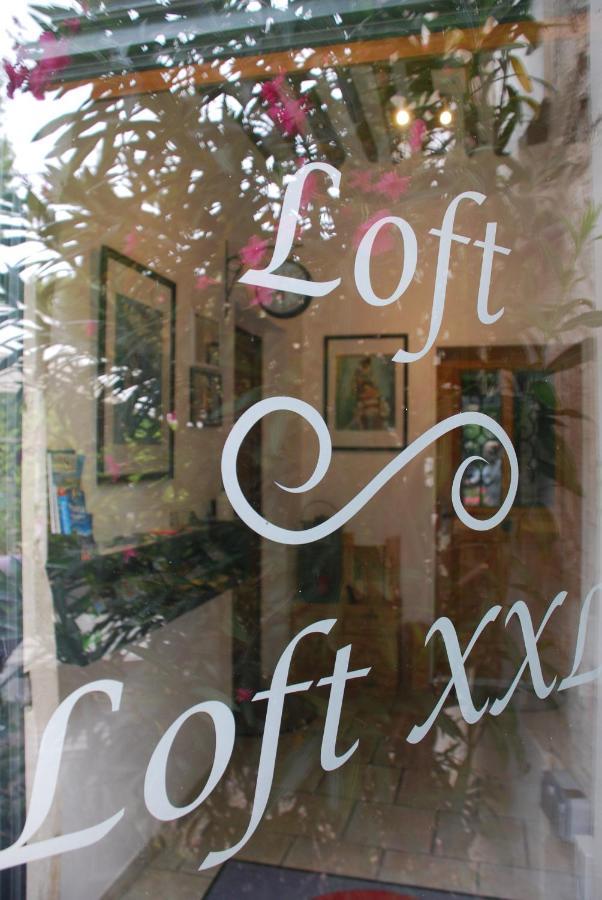 Les Lofts Apartment L'Isle-sur-la-Sorgue Bagian luar foto